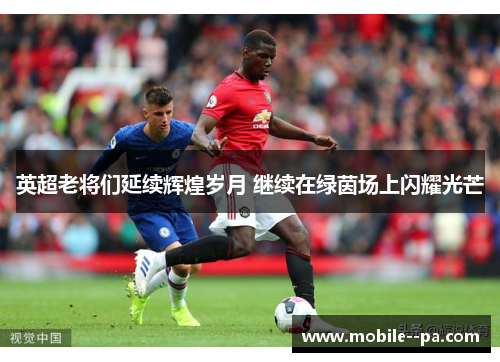 英超老将们延续辉煌岁月 继续在绿茵场上闪耀光芒 英超老将们延续辉煌岁月 继续在绿茵场上闪耀光芒