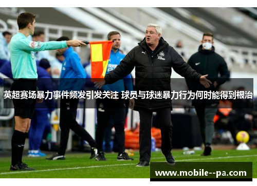 英超赛场暴力事件频发引发关注 球员与球迷暴力行为何时能得到根治 英超赛场暴力事件频发引发关注 球员与球迷暴力行为何时能得到根治