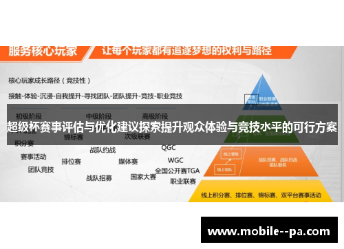 超级杯赛事评估与优化建议探索提升观众体验与竞技水平的可行方案