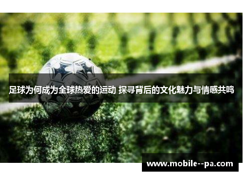 足球为何成为全球热爱的运动 探寻背后的文化魅力与情感共鸣 足球为何成为全球热爱的运动 探寻背后的文化魅力与情感共鸣