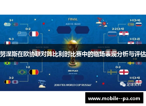 努涅斯在欧协联对阵比利时比赛中的临场表现分析与评估 努涅斯在欧协联对阵比利时比赛中的临场表现分析与评估