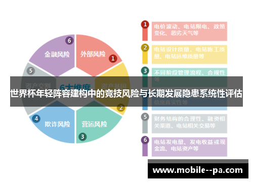 世界杯年轻阵容建构中的竞技风险与长期发展隐患系统性评估